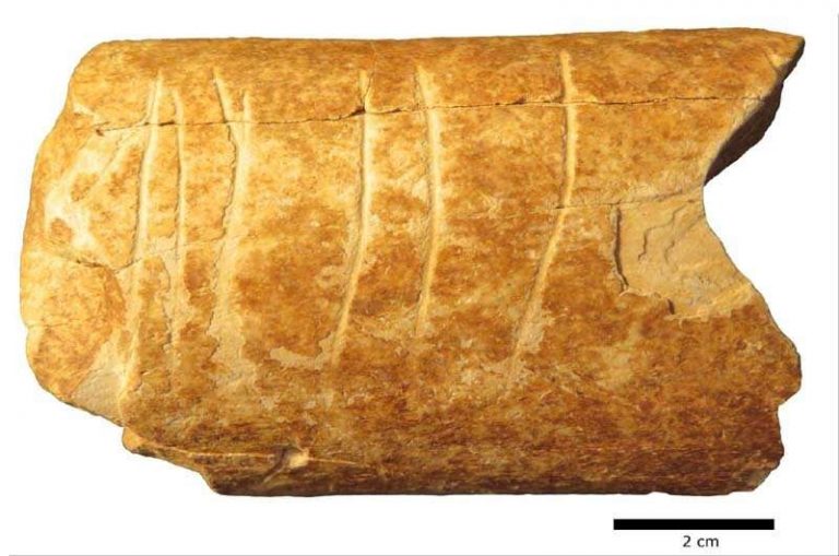Во Франции нашли гравюру: артефакту 120 тысяч лет