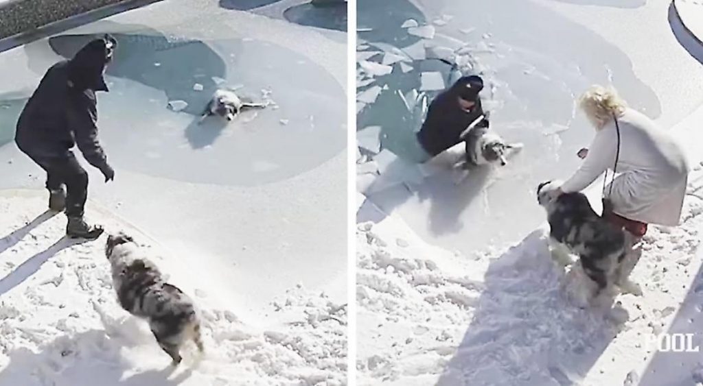 Мужчина провалился под лед во время спасения своего пса