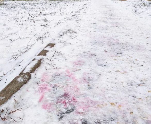 Киевляне заметили на снегу розовую отраву