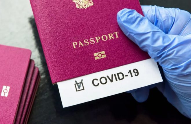 Паспорта вакцинации от COVID-19: нужны ли украинцам и когда их введут? (пресс-конференция)