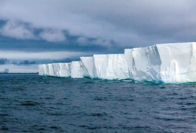 Под льдами Антарктиды нашли неизвестных науке животных