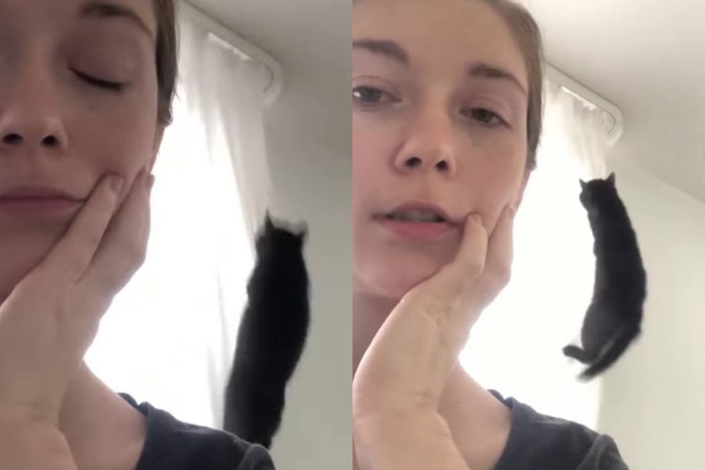 Девушка показала прелести жизни с котом