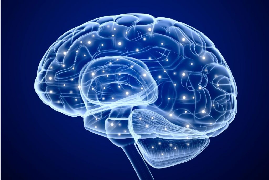 Ученые назвали главную причину старения мозга
