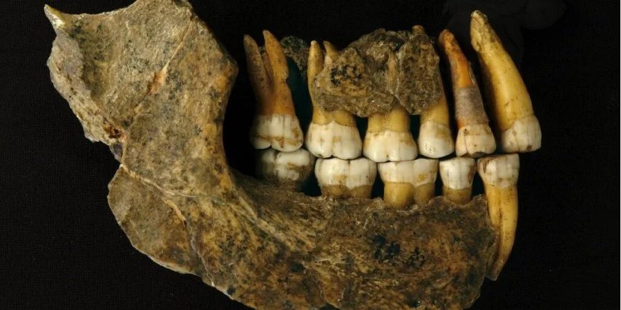 Ученые об останках неандертальцев: это открытие перепишет историю