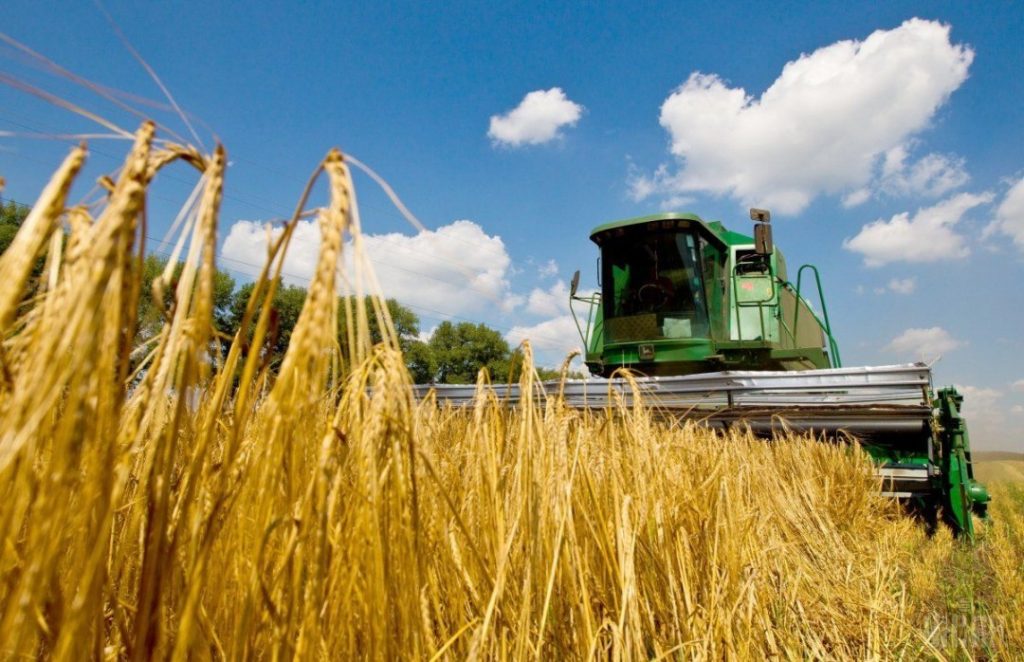 В этом году ожидается хороший урожай зерновых -Минэкономики