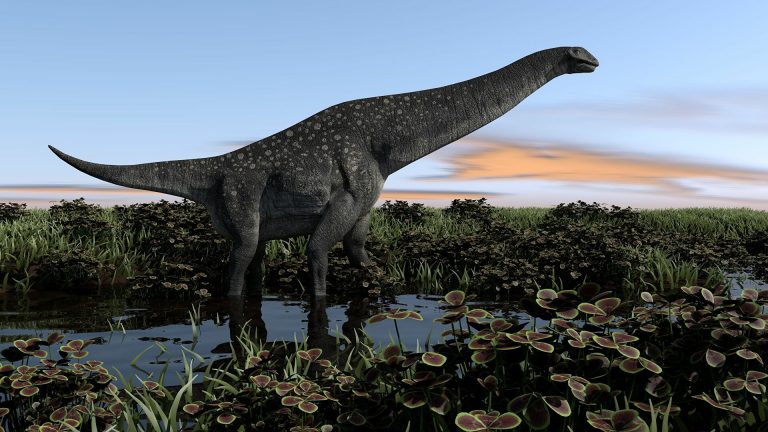 Найдены останки самого древнего титанозавра в мире