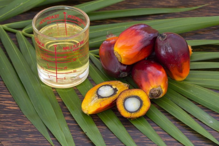 Пальмовое масло может спровоцировать рак &#8212; диетолог