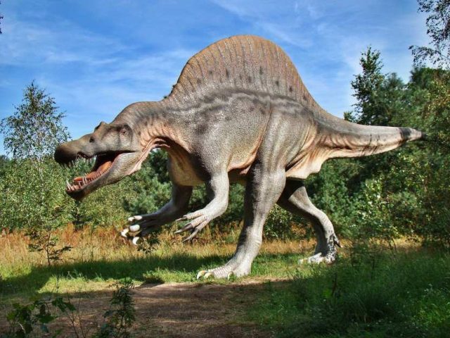В Шотландии обнаружили десятки следов динозавров