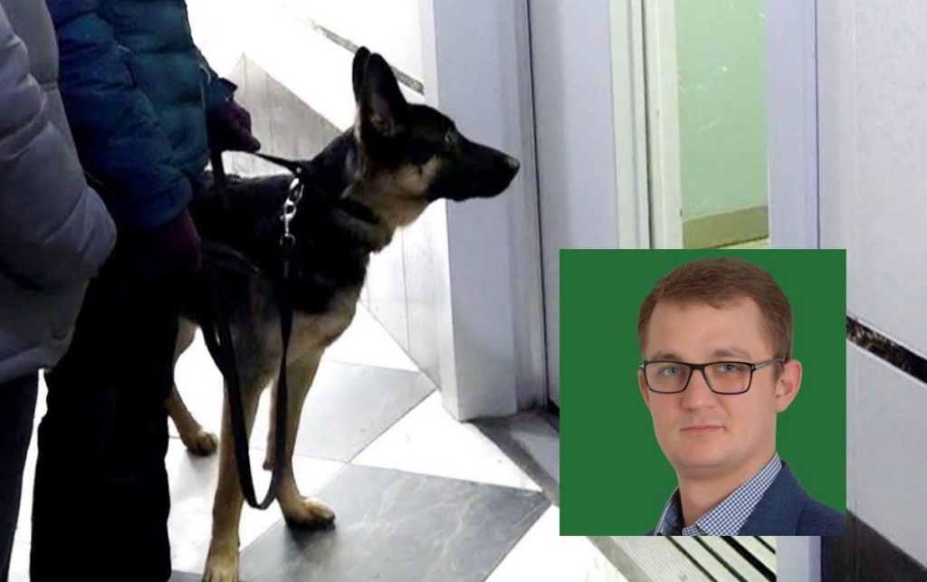 В Украине хотят запретить перевозить собак и котов в лифте