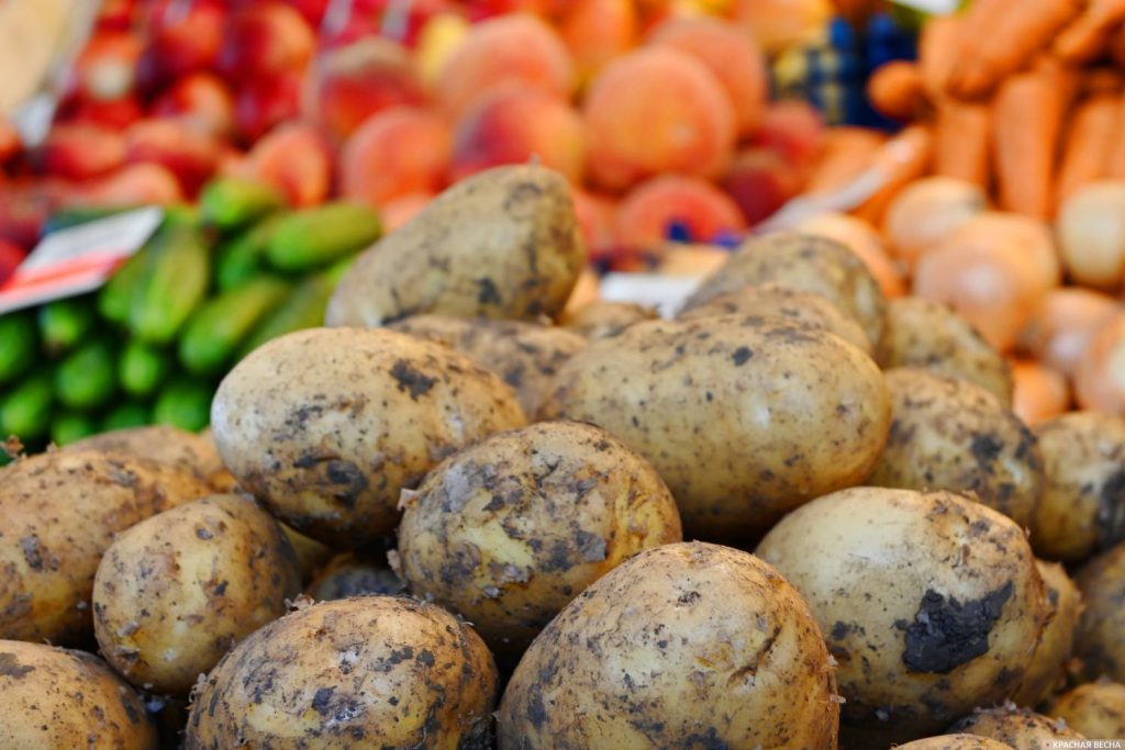 Первые овощи: врач назвал главные правила безопасности при покупке
