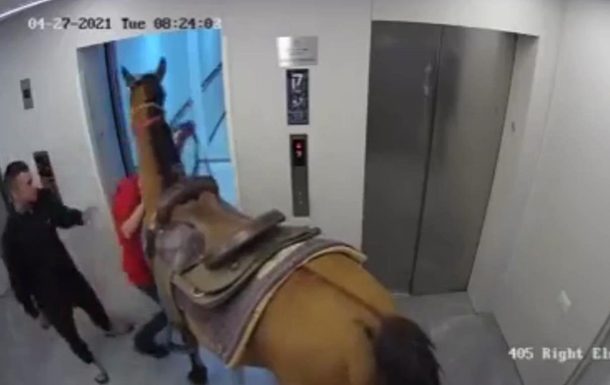 Мужчины пытались поднять лошадь на лифте