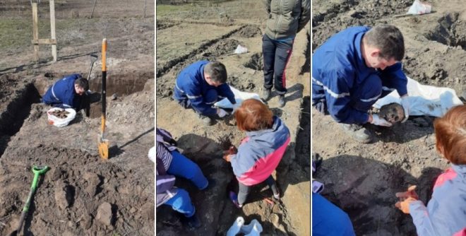 В Киевской области раскопали захоронение времен Голодомора