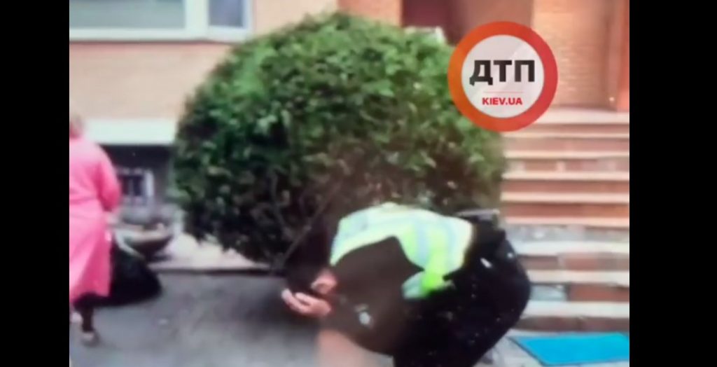 Под Киевом женщина в халате сильно ударила метлой полицейского