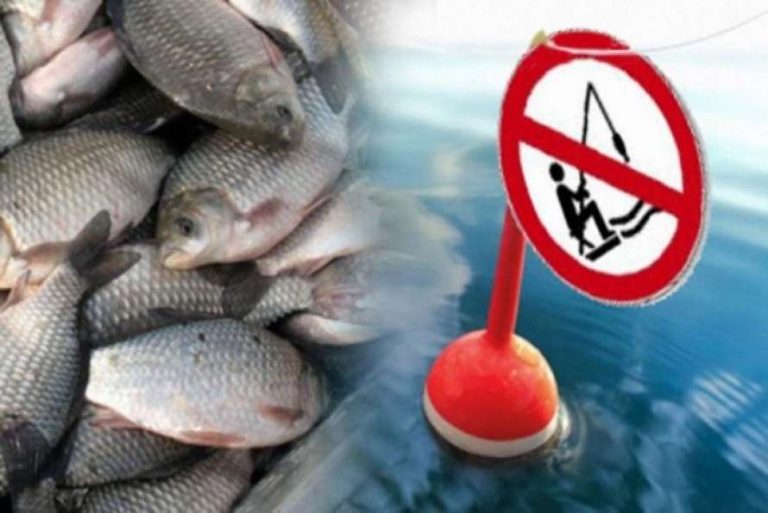 В Украине ввели запрет на вылов рыбы