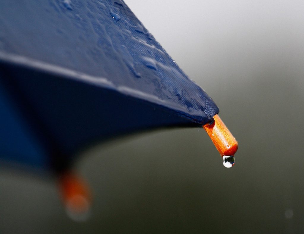 Дожди и грозы: синоптик рассказа о погоде на следующей неделе