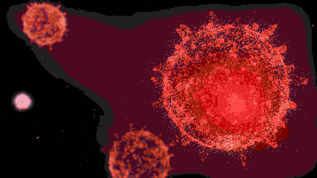 Коллективный иммунитет не гарантирует победу над коронавирусом