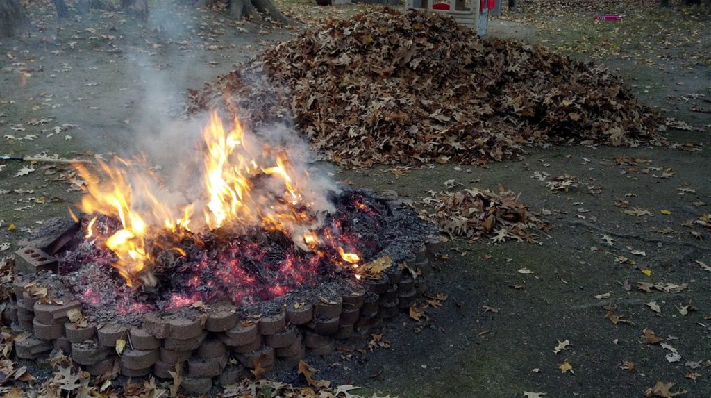 На Донбассе подросток сжигал листву и спровоцировал взрыв
