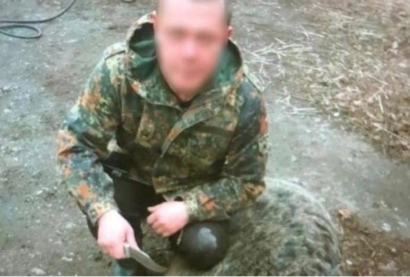Под Киевом мужчина из ружья застрелил бездомного пса