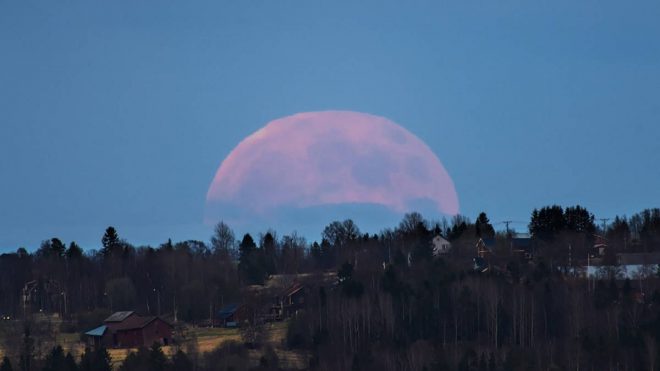Астролог рассказал, как лунное затмение 8 ноября повлияет на дела знаков Зодиака