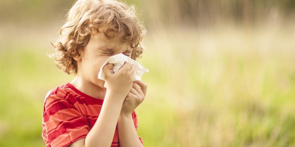 Осторожно, пыльца: Как не дать аллергии испортить весеннее настроение
