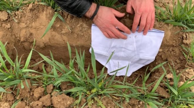 В Швейцарии ученые решили закопать в землю трусы