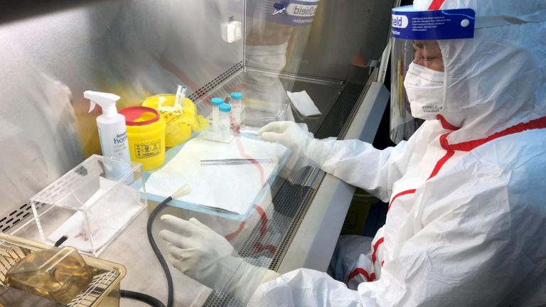 Китайские вирусологи лечились от коронавируса за месяц до начала пандемии