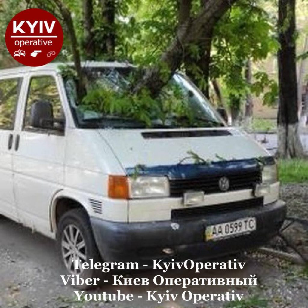 В Киеве дерево проломило припаркованное авто