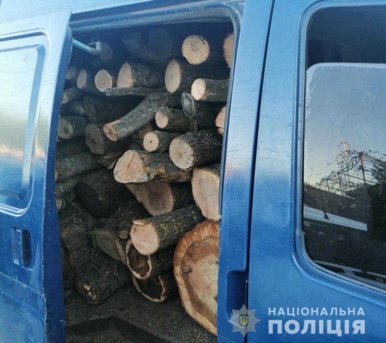 В Николаевской области остановили авто черного лесоруба