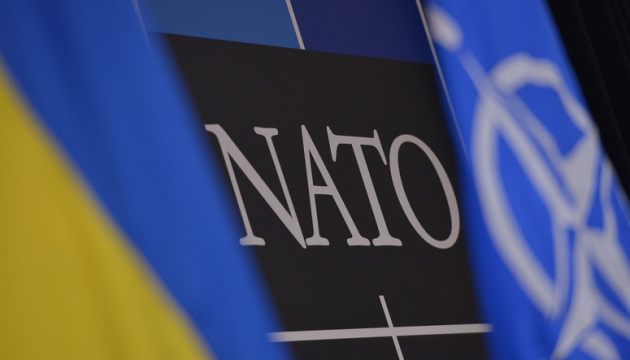 Эксперт проанализировал возможность вступления Украины в НАТО