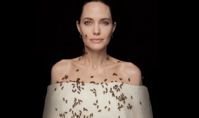 Анжелина Джоли облепила себя пчелами