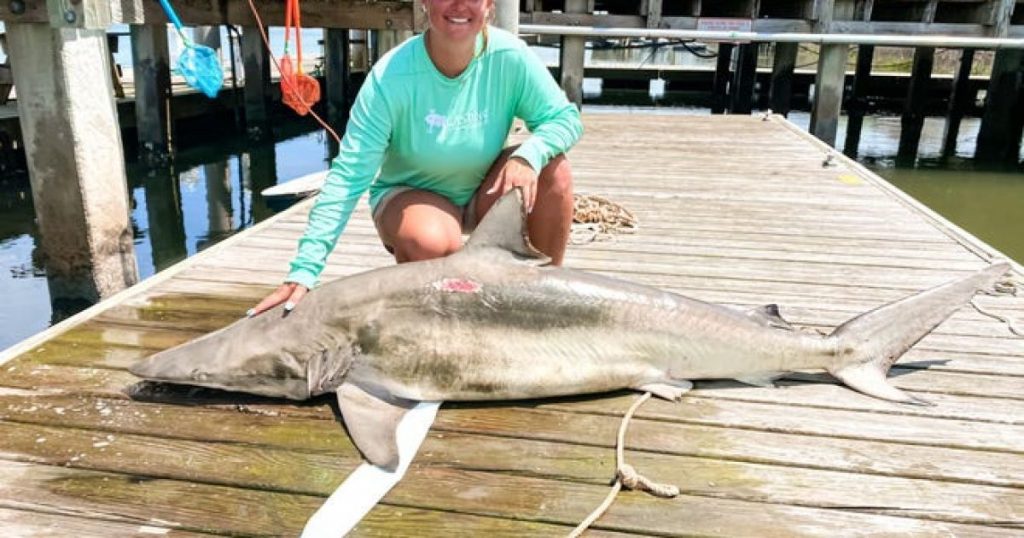 «Рекорд штата»: в США учительница поймала уникальную акулу