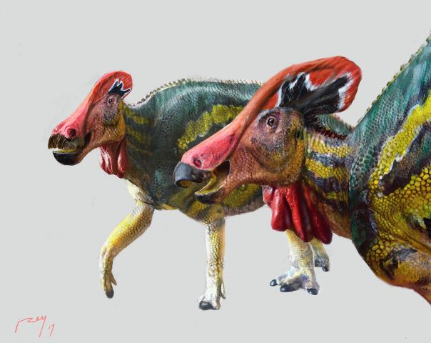 Палеонтологи установили новый вид динозавров 