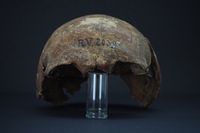Возникла 7 тысяч лет назад: учёные нашли в Латвии древний череп с чумой