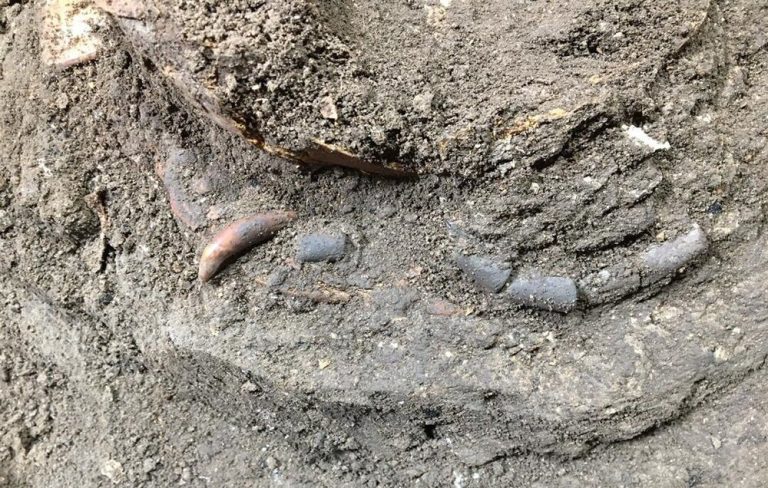 Иранские археологи обнаружили скелет ребенка с уникальным амулетом (ФОТО)