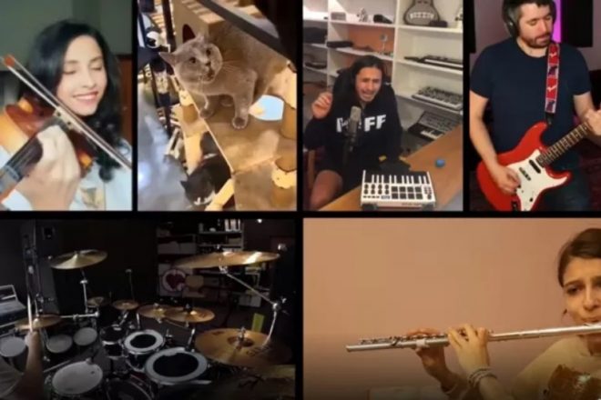 Группа из шести музыкантов записала вирусное видео с поющим котом