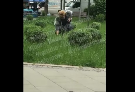В Киеве на площади увидели похитительницу тюльпанов