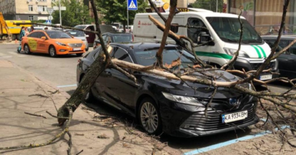 В Киеве на Немецкой тяжелая ветка рухнула на автомобиль (ФОТО)