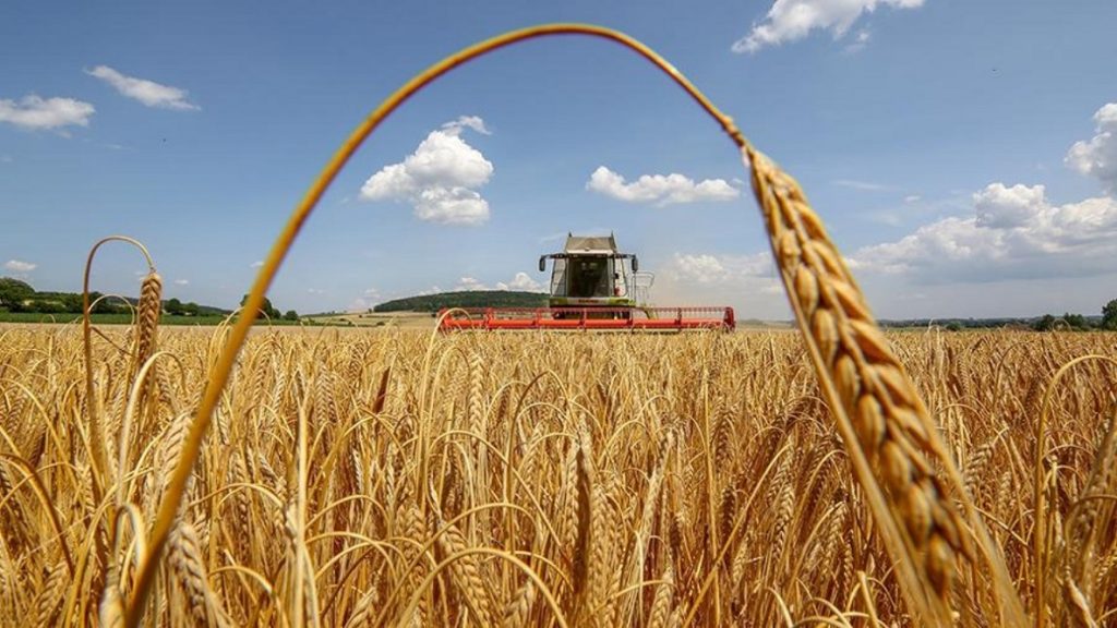 У Украины есть все предпосылки для хорошего урожая – эксперт