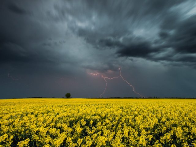 Погода на 18 июня: в регионах Украины – грозы, дожди, шквалы