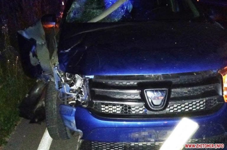 В Житомирской области Dacia Logan сбил на обочине пешехода (ФОТО)
