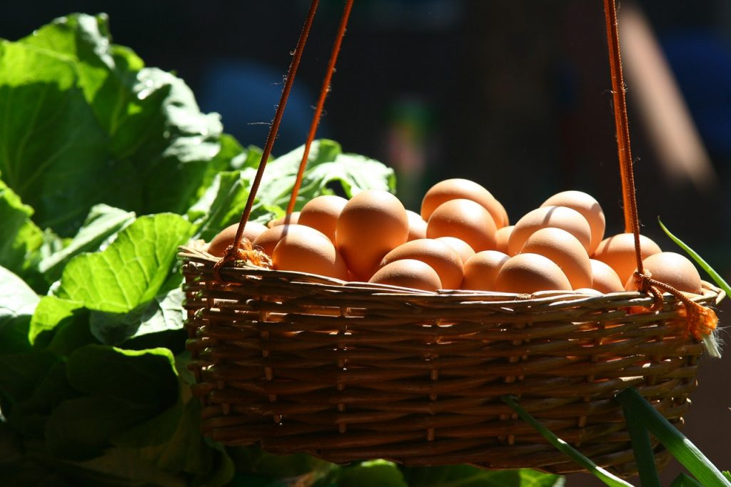 Медики рассказали, с какими продуктами не стоит употреблять яйца