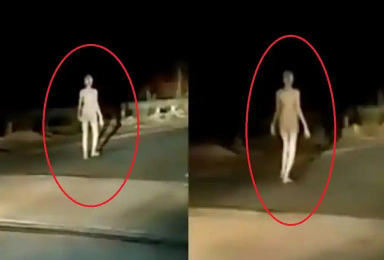 В Индии заметили «пришельца»: шёл по ночной дороге (ФОТО, ВИДЕО)