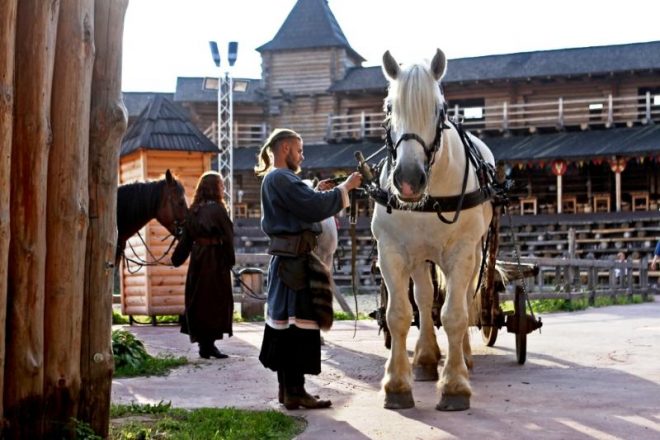 Под Киевом ко Дню Конституции пройдет конно-историческое шоу (ФОТО)
