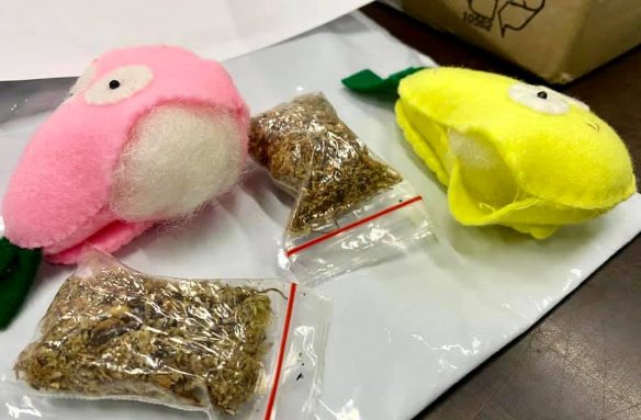 На таможне нашли наркотики в игрушках  (ФОТО)