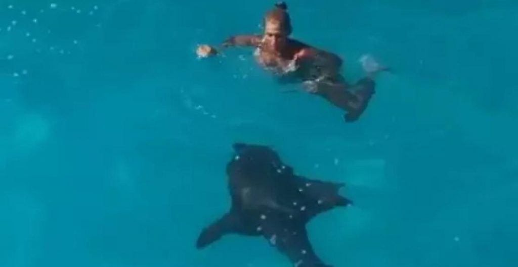 После спуска с горки туристка не заметила акулу (ФОТО, ВИДЕО)