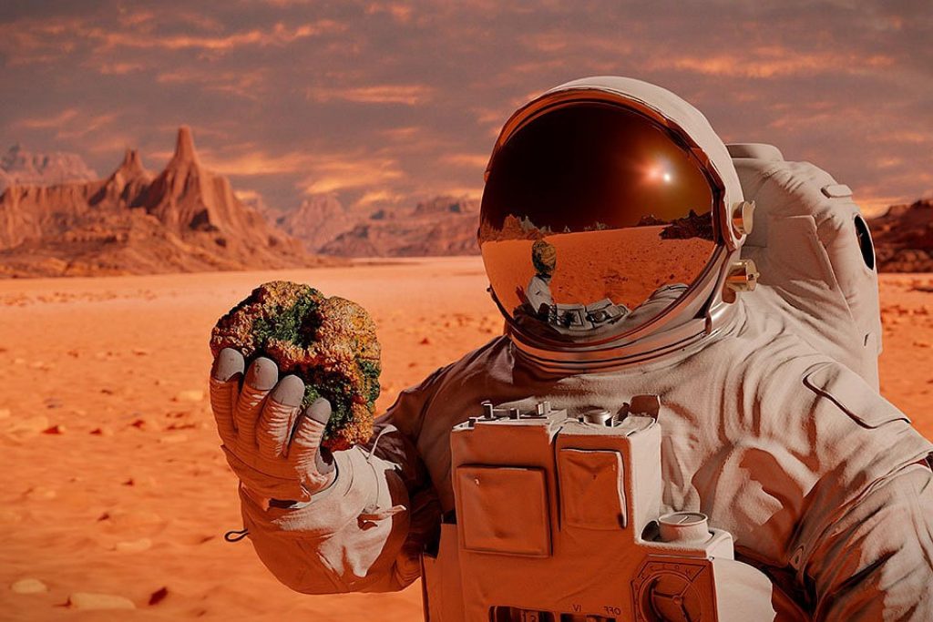 Исследователи допустили, что ранее на Марсе была жизнь