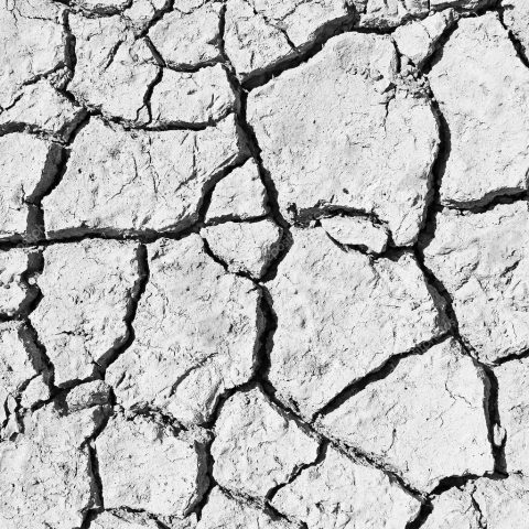 Франция ограничит промышленное использование воды в случае экстремальной засухи