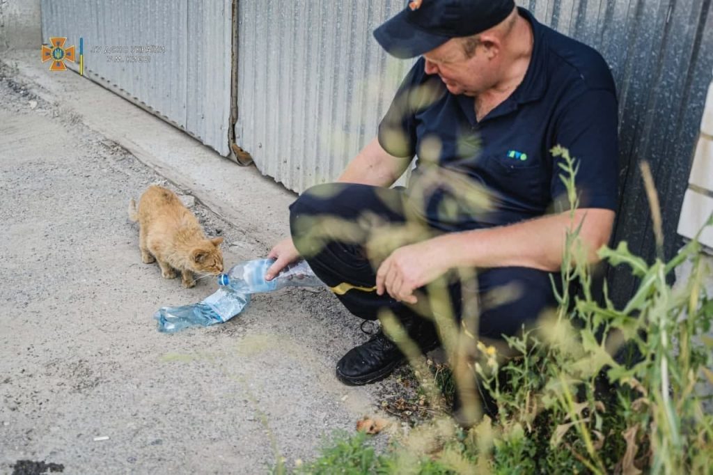 В Киеве после пожара спасатель напоил водой бездомного кота (ФОТО)