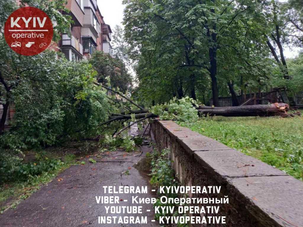 На Дорогожичах в Киеве рухнувшее дерево заблокировало вход подъезда