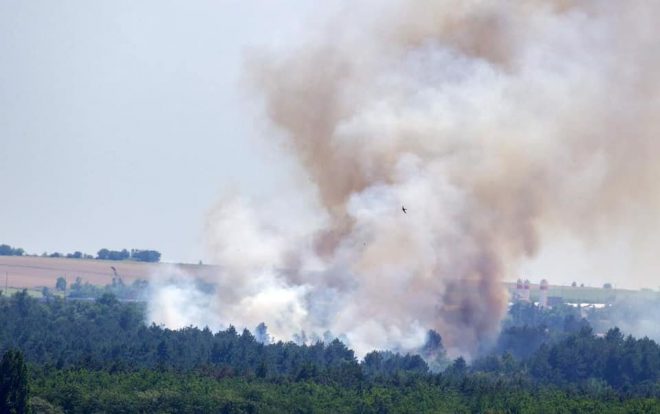 Пожар на Хортице: директор заповедника озвучил главную версию происшествия